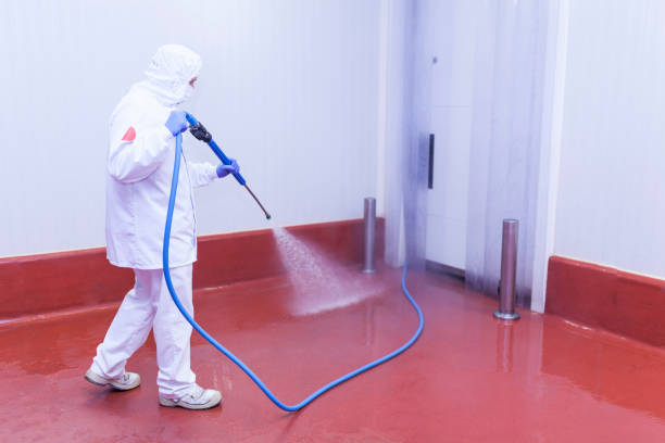 Reliable Blanchard, LA Pressure Washing Services Solutions